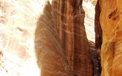the-pink-siq-valley-of-petra